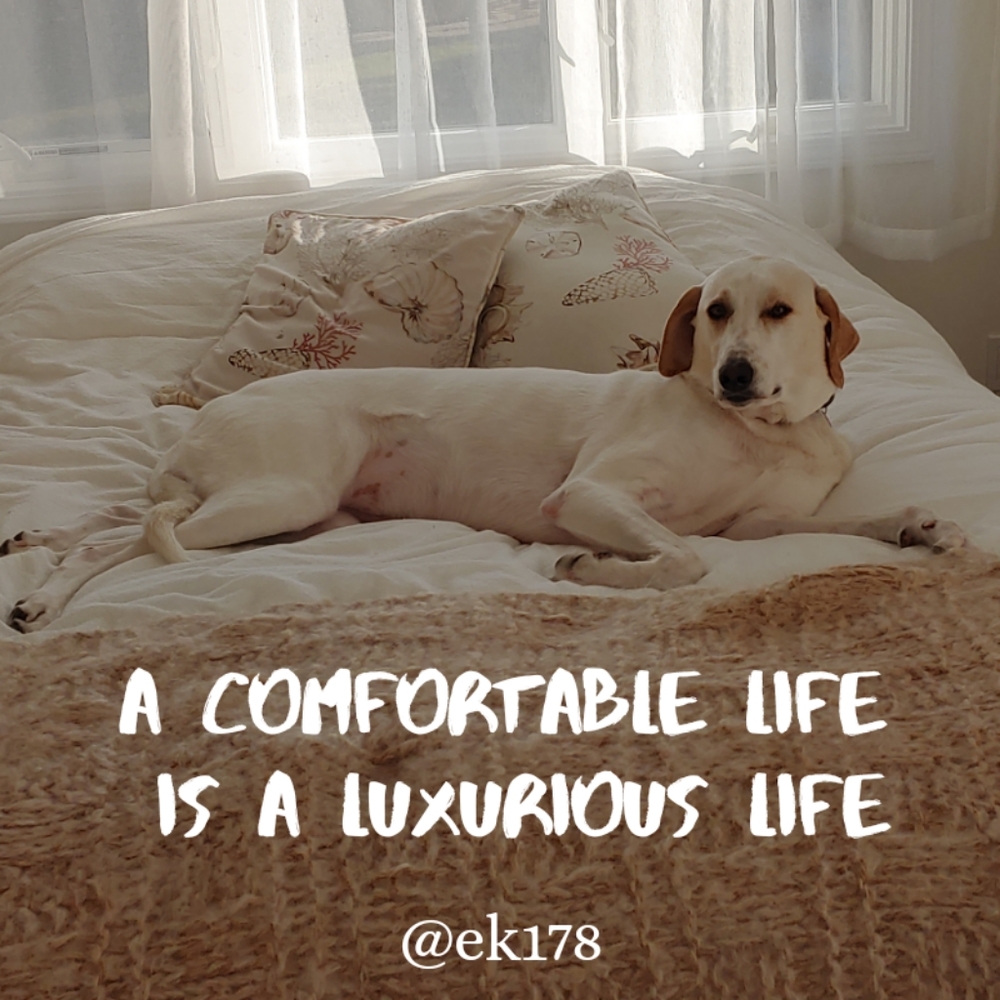 A lifestyle...